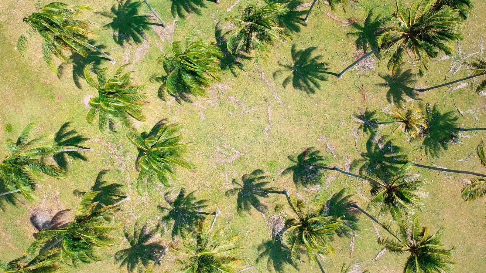 MEASURABLE. TRACEABLE. BIODEGRADABLE. - FOR SUSTAINABILITY TEAMS